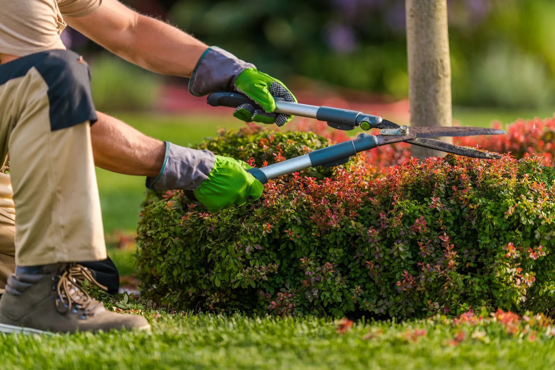Professional garden maintenance services UK