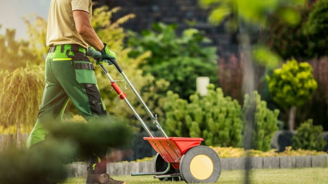 Professional garden maintenance quality workmanship