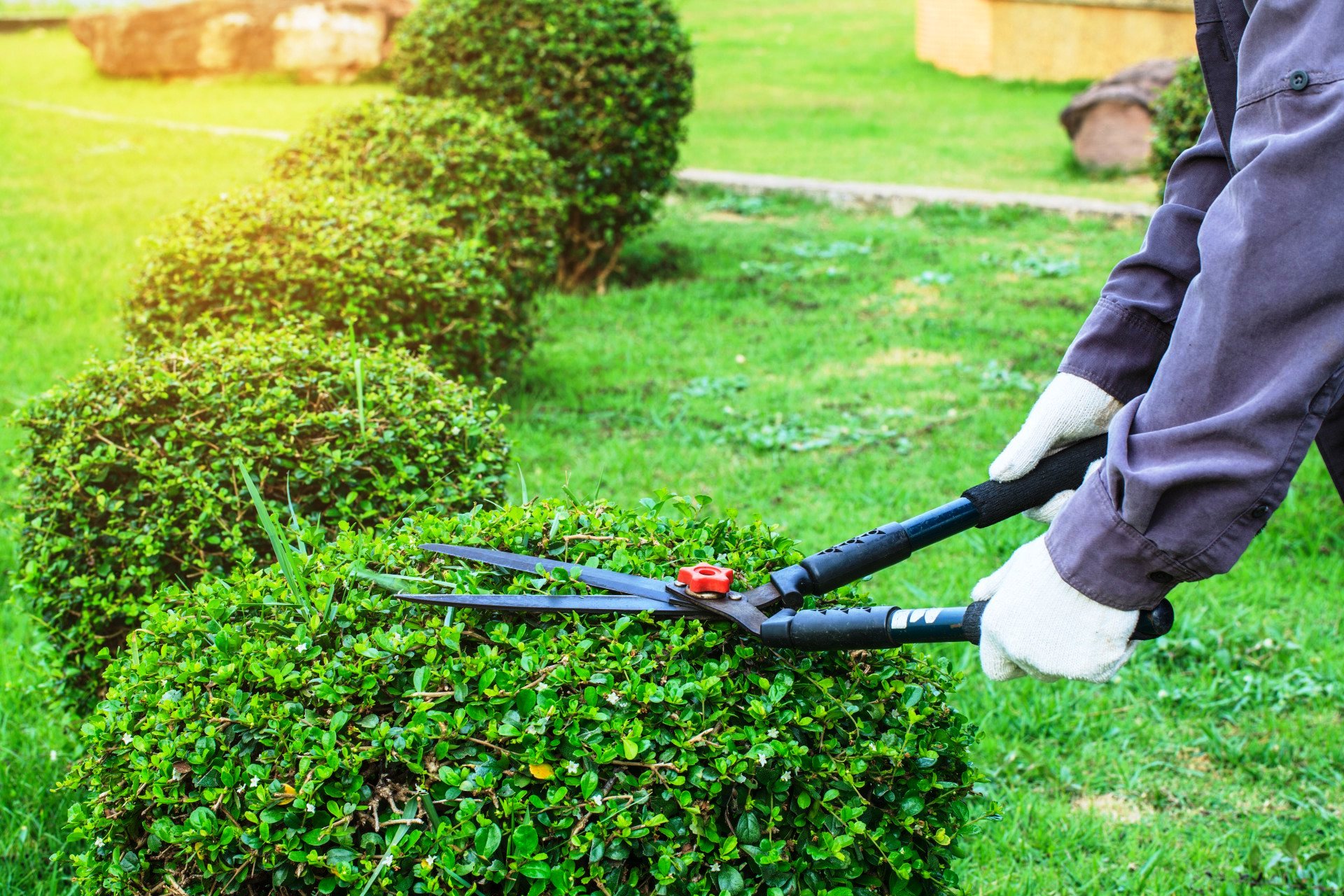 Complete garden maintenance services - lawn care and gardening